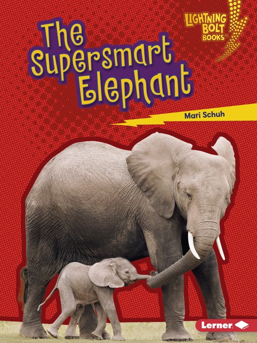 Mari Schuh 的 The Supersmart Elephant 內容詳情 - 可供借閱